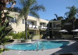Laurel Condos