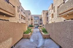 435 Virgil Courts