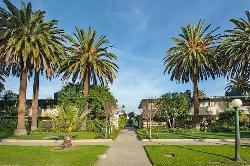 Orange Grove Gardens