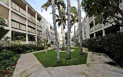Kings Plaza