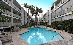Kings Plaza