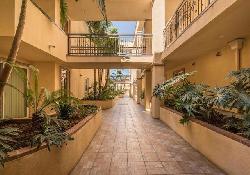 13 Palms