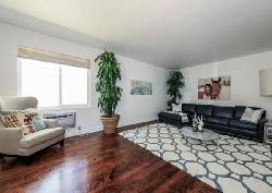 Wilkins Luxury Condos