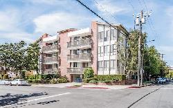 11805 Mayfield