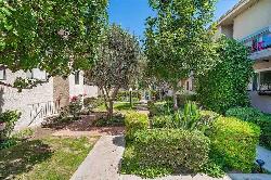 Knollwood Villas