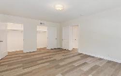 401 Shirley