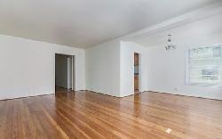 401 Shirley