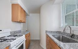 401 Shirley
