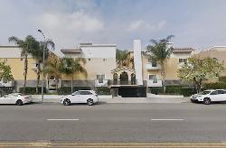 Placita De Oro