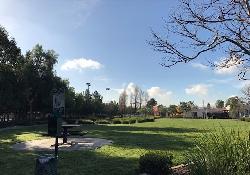 Vista Del Sol