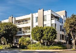 Tarla Terrace