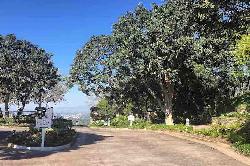 Mulholland Estates