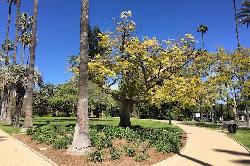Beverly Hills Flats