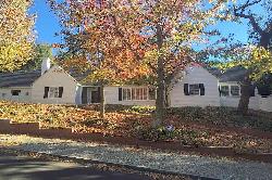 Thurston Area