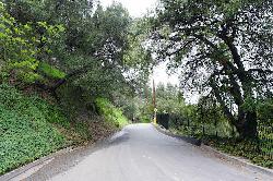 Oak Pass Road