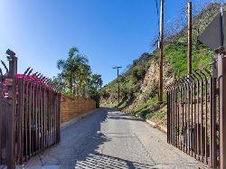 Runyon Canyon Homes