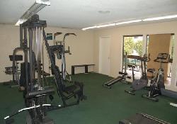 Encino Oaks
