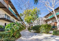 Encino Oaks