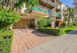 Encino Oaks