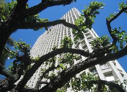 Bunker Hill Tower