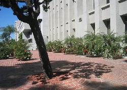Bunker Hill Tower