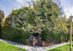 South Brentwood Homes