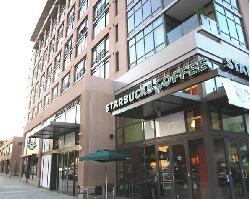Elleven South Lofts