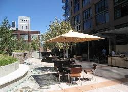 Elleven South Lofts