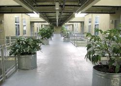 Flower Street Lofts