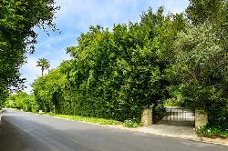 Holmby Hills North