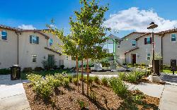 Brighton Van Nuys