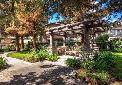 California Rose Court