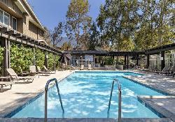 California Rose Court