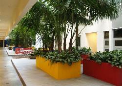 Library Court