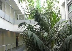 Library Court