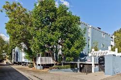 White Oak Encino