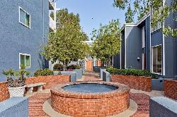 White Oak Encino