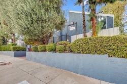 White Oak Encino