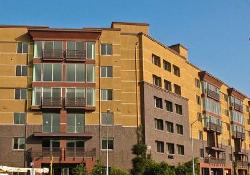 Mura