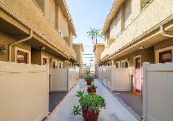 Jasmine Palms