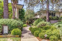 Bellegrove, The