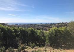 Cavalleri Road