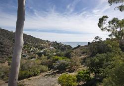 La Costa Hills