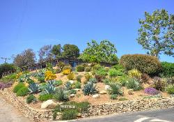 Las Flores Mesa