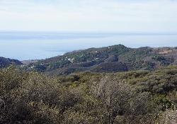 Latigo Canyon