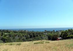 Sea Star Estates