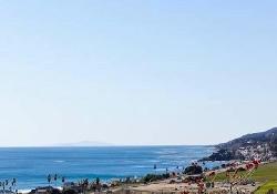 Sea Star Estates