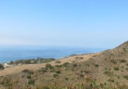 Trancas Canyon