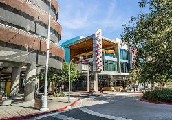 Asher at Playa Vista