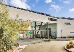 Asher at Playa Vista